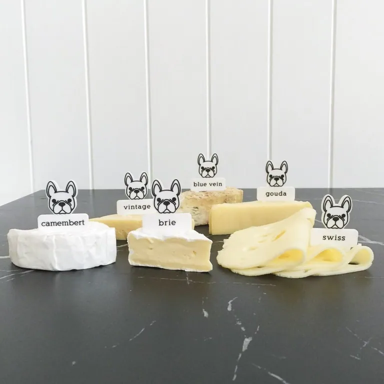 A French Bulldog looking at a piece of cheese