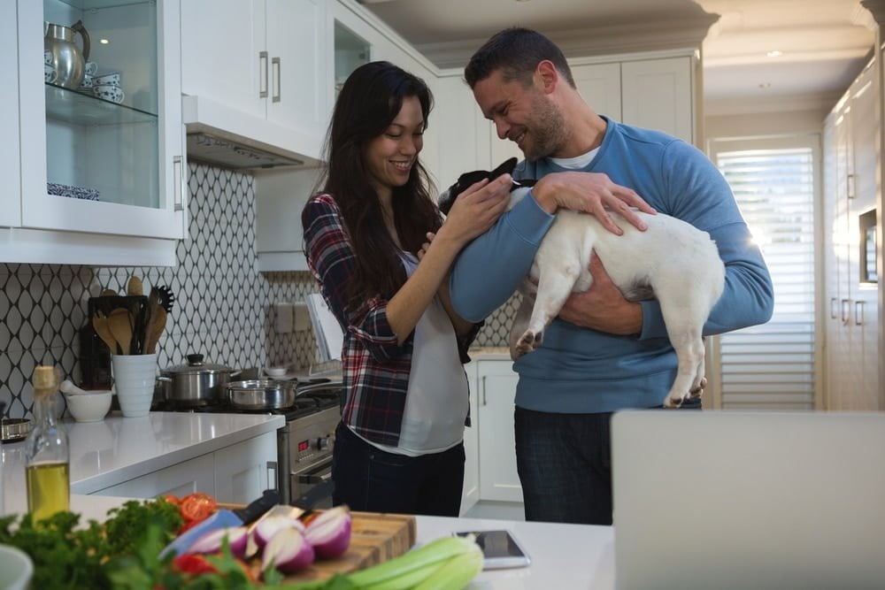 A couple in their kitchen cuddling a black and white French Bulldog