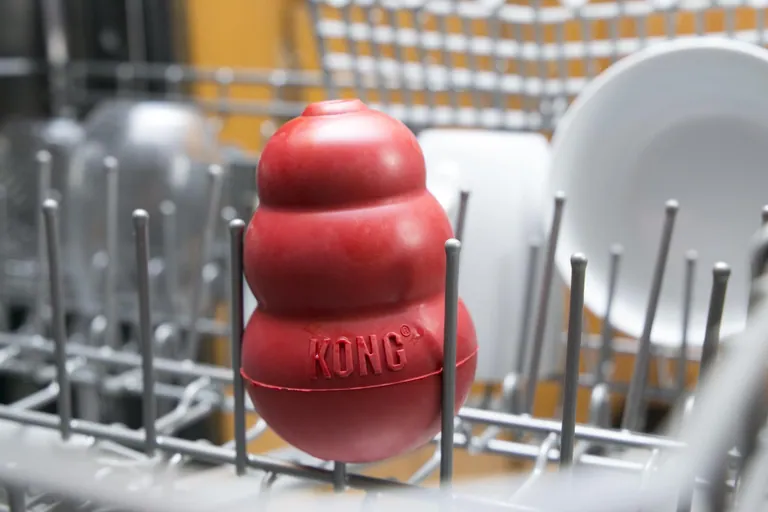 A red KONG toy standing on the top rack of a dishwasher