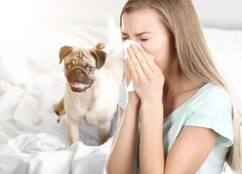 A person sneezing near a dog