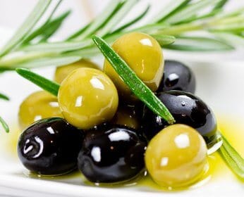 Dogs and Olives: Can Dogs Eat Olives Without Any Health Problems?