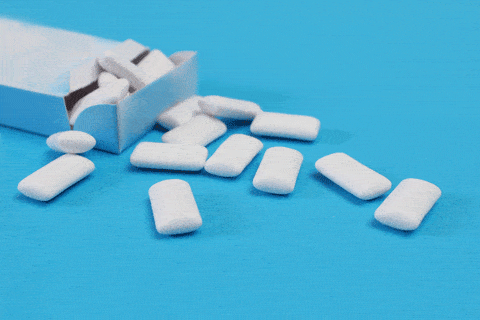 What Do I Do If My Dog Ate Gum!?