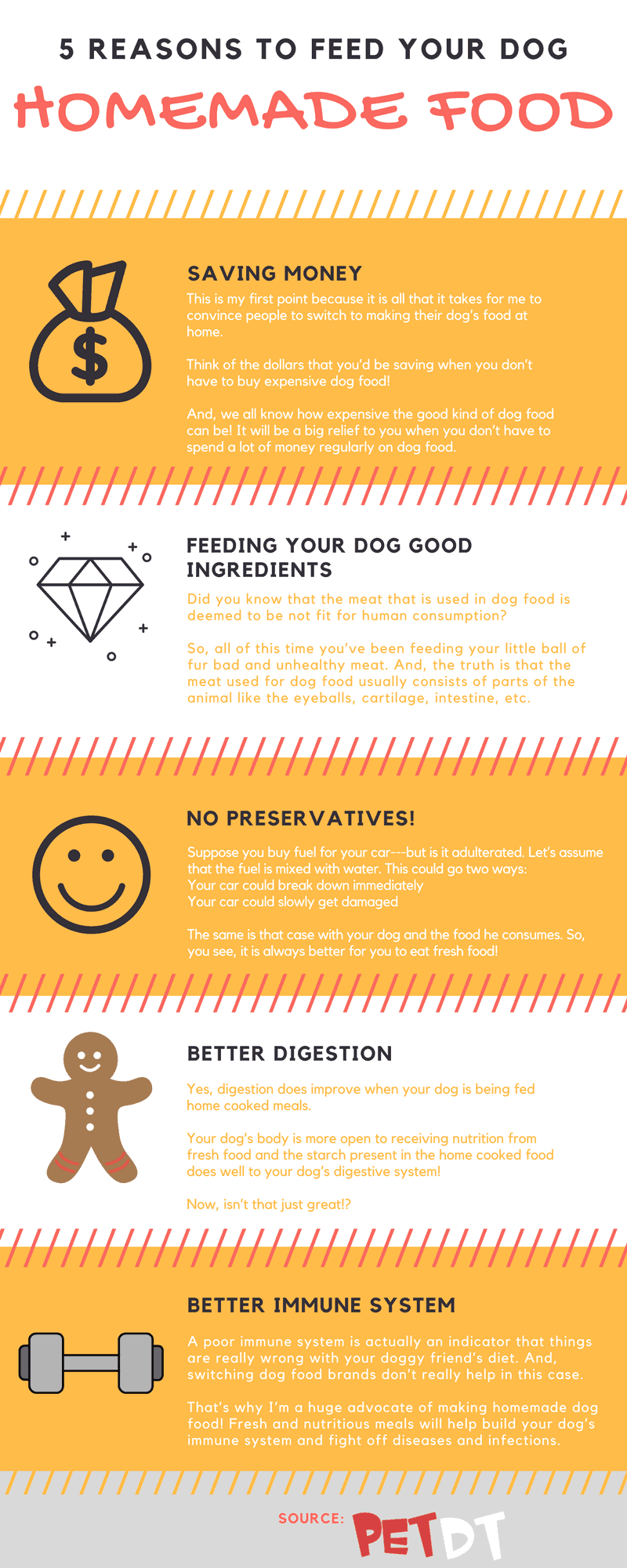 Why Make Homemade Dog Food: 13 Easy Recipes for Beginners