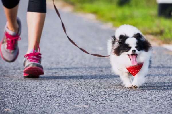 start slowly