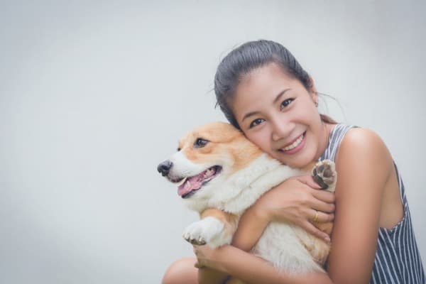 corgane is the right dog for me
