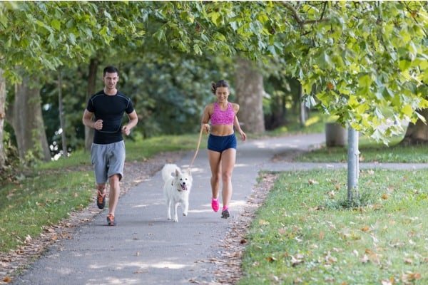dog needs some exercise