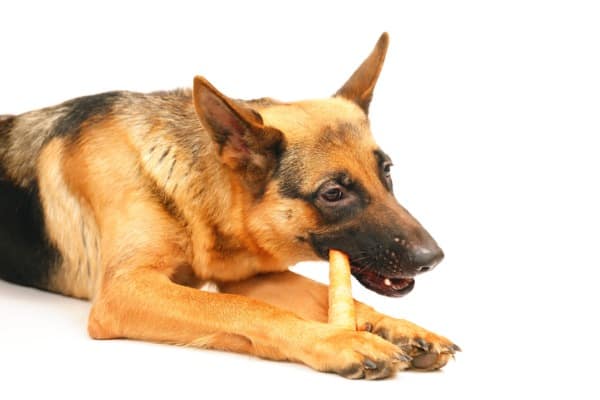 helpful diet for german shepherd