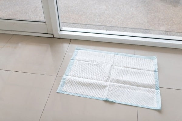 puppy pads