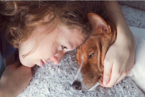 depression suppresses dog's appetite and need for food