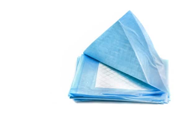 absorbing pads for dog