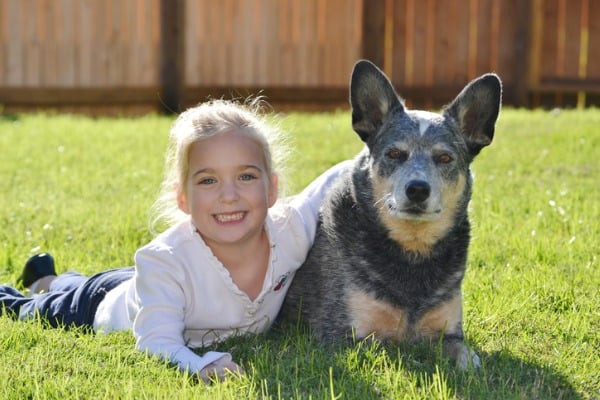 outdoor time for ACDs dog