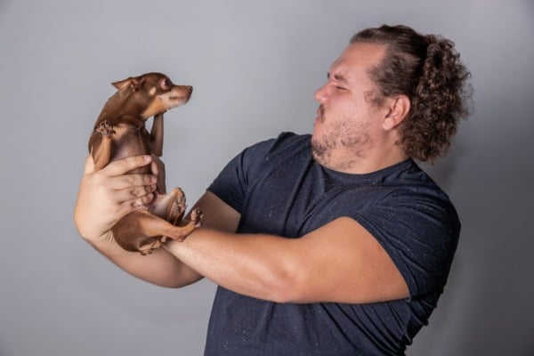 dog smells like urine