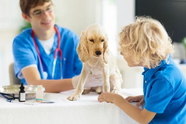vet is the first step for uti problems