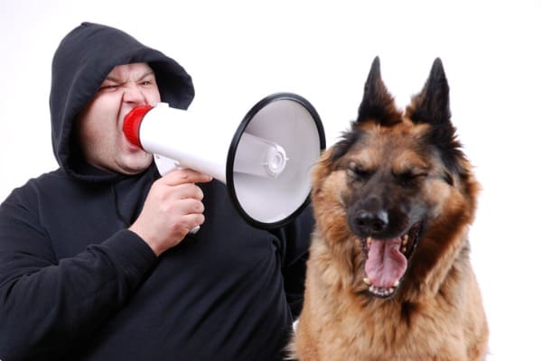 yelling to your dog