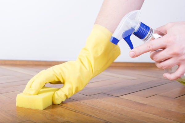 applying enzyme cleaner on your floor