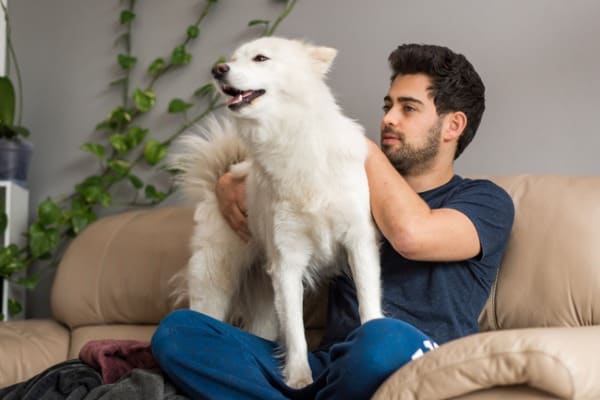 my dog stands on me