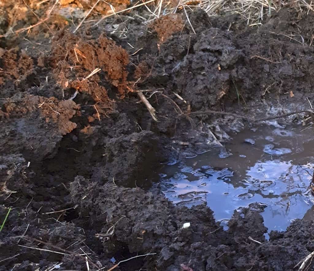 adding water to the pit