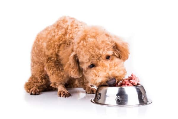 advantage of raw food