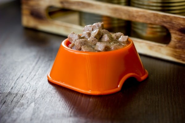 canned dog food