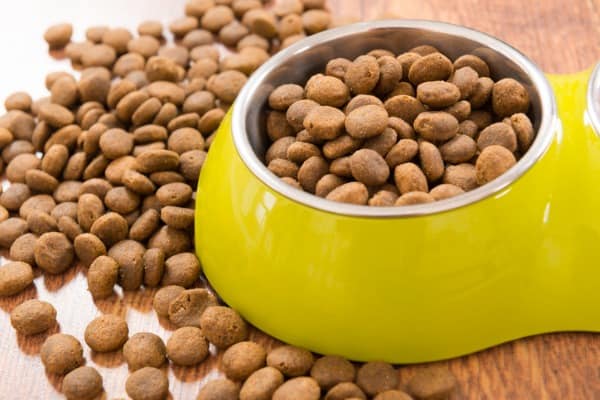 commercial dog food