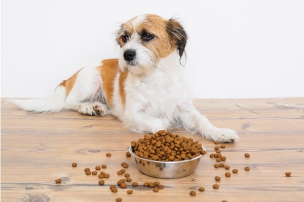 disadvantage of commercial dog food