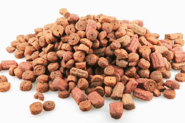 dog food