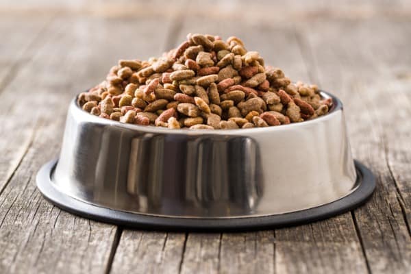 dog food