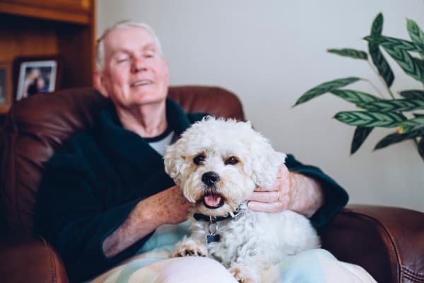 dog sitting on man's legs