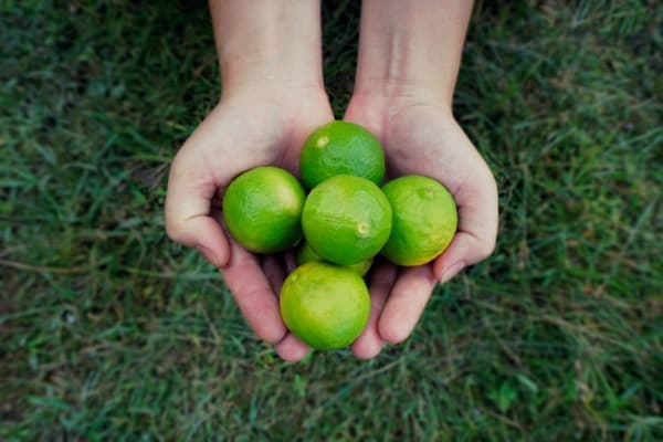 holding limes