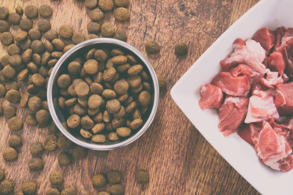natural dry dog food