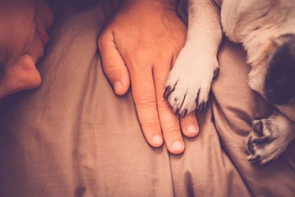 woman and dog sleep