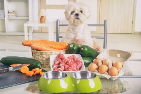 preparing-homemade-dog-food