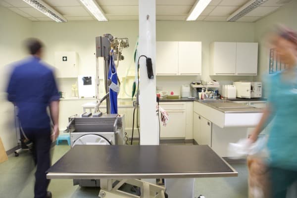 veterinary-clinic-example