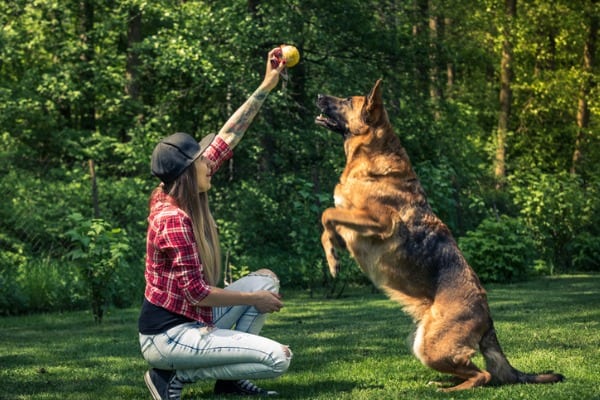 Can You Nurture Your Dog’s Natural Instincts?