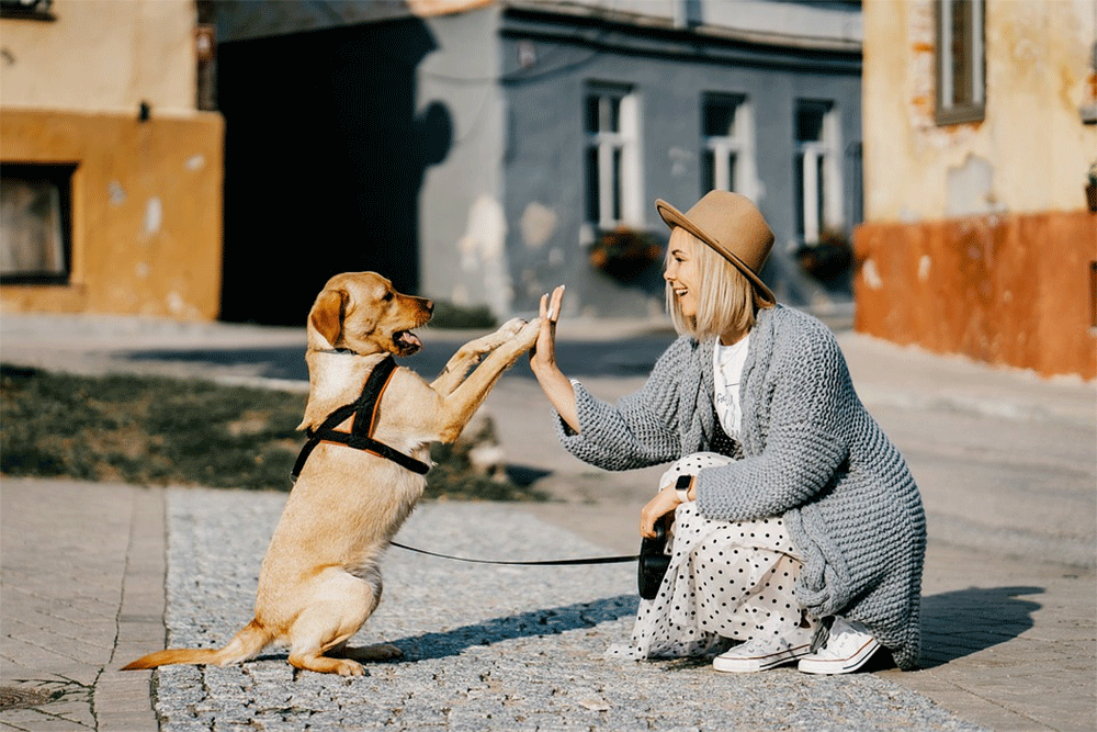 How Do Dogs Know You Love Them?