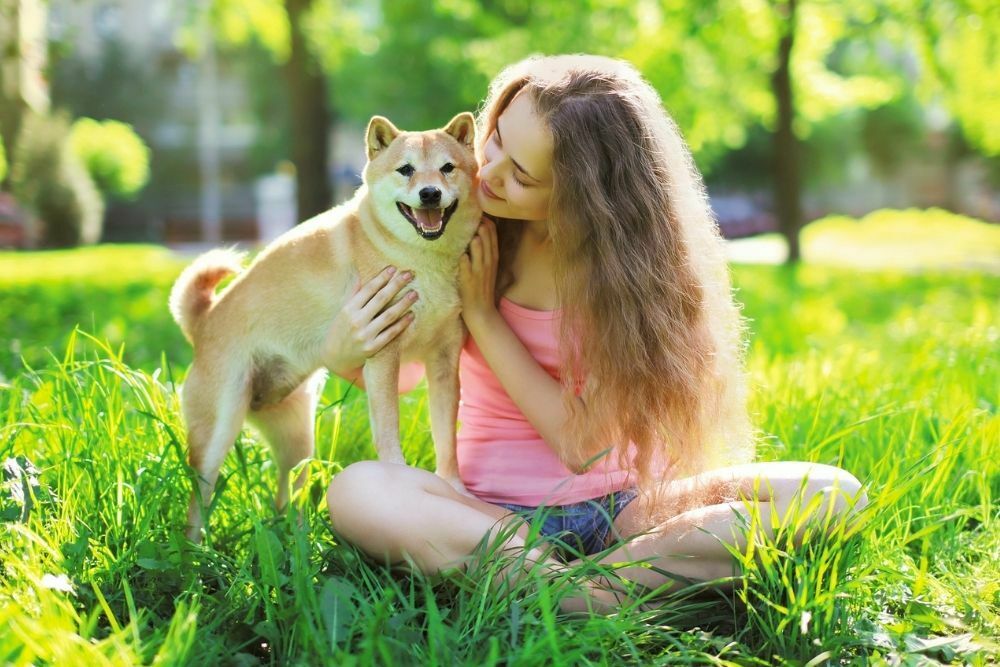 What Do Dogs See Us As?