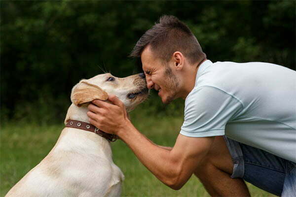 Why Does My Dog Smell Like Maple Syrup
