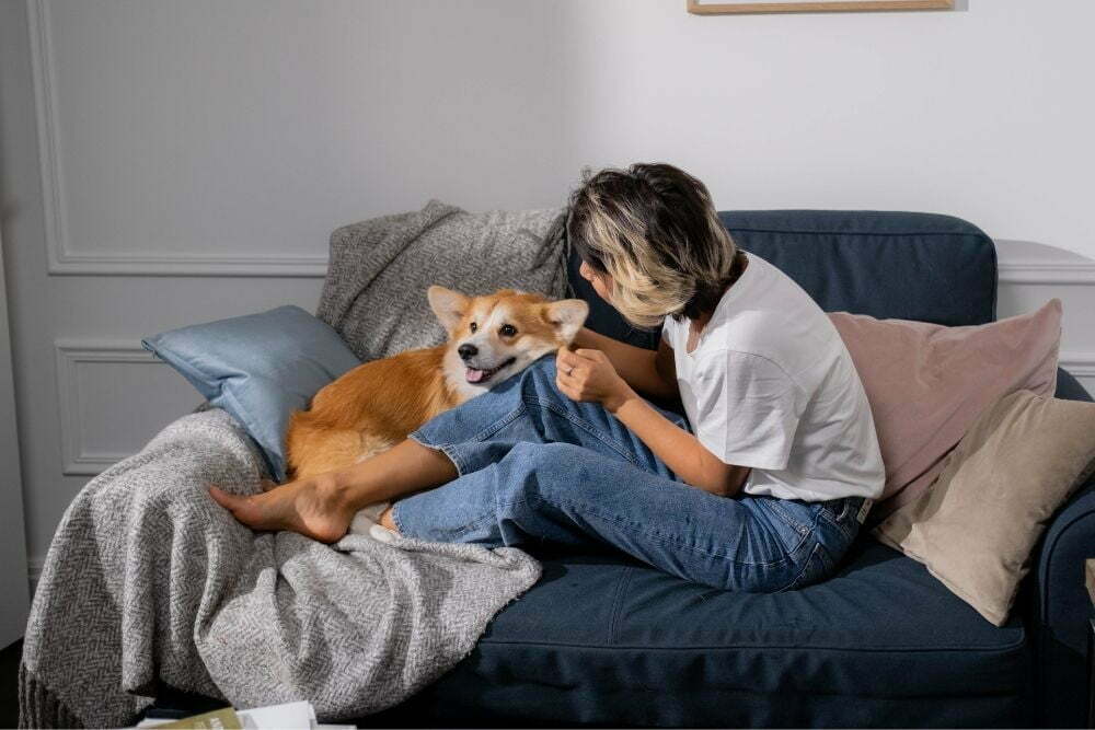 Why Do Dogs Follow You Around the House?