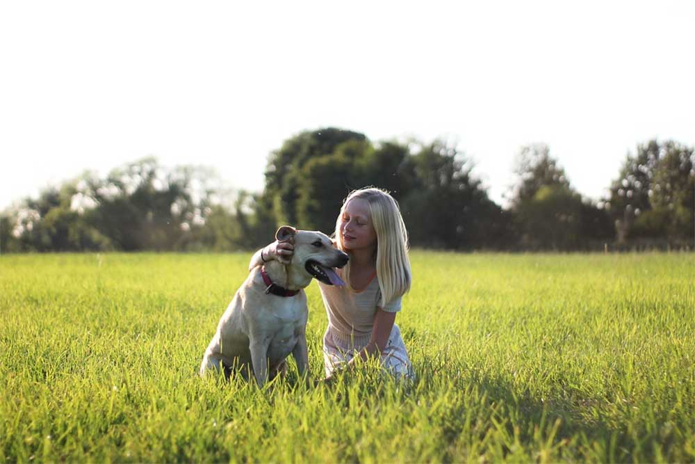 Can You Get Stomach Viruses from Dogs?