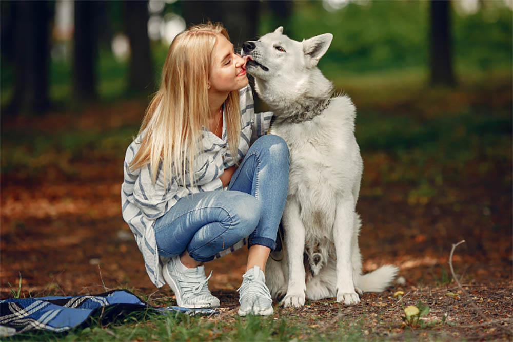 Why Is My Pooch Into Licking Peepers? Reasons Your Dog Might Lick Your Eyes And When You Should Worry