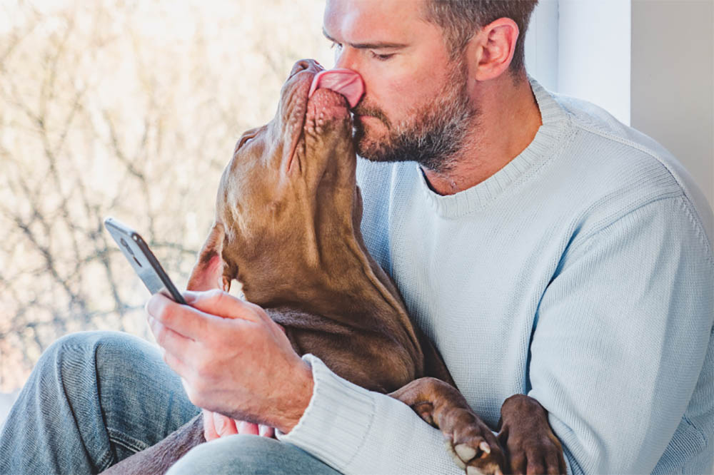 Why Is My Pooch Into Licking Peepers
