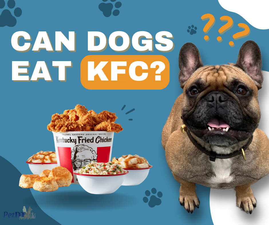 Can Dogs eat KFC