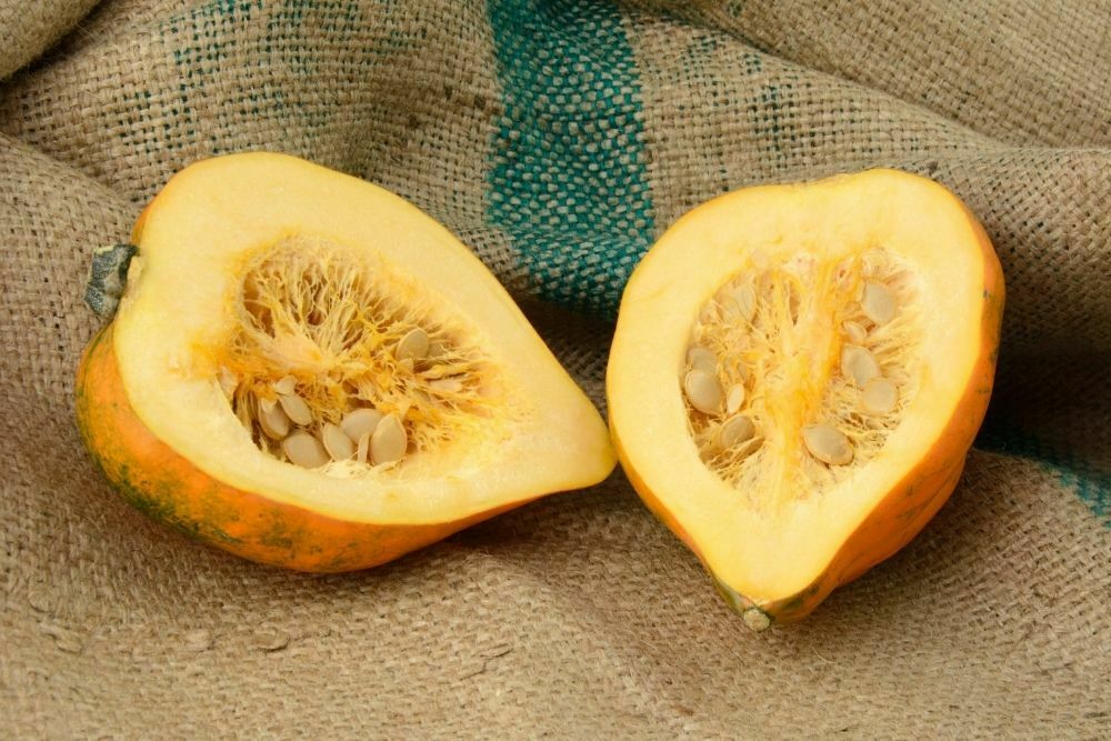 Acorn Squash