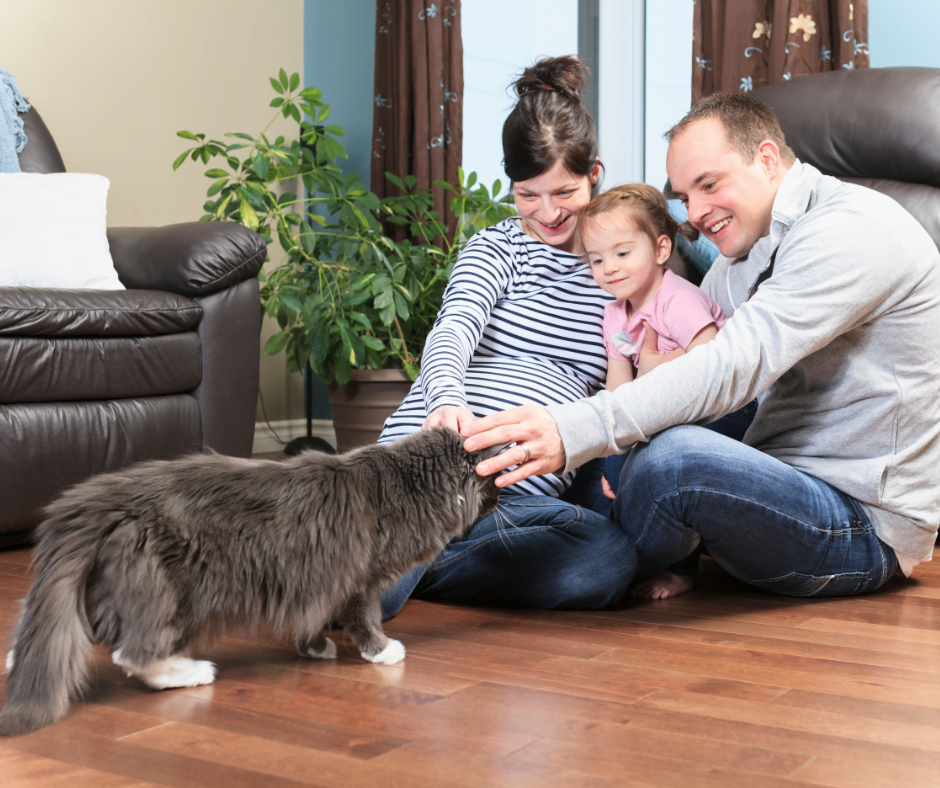 A cat with a young family