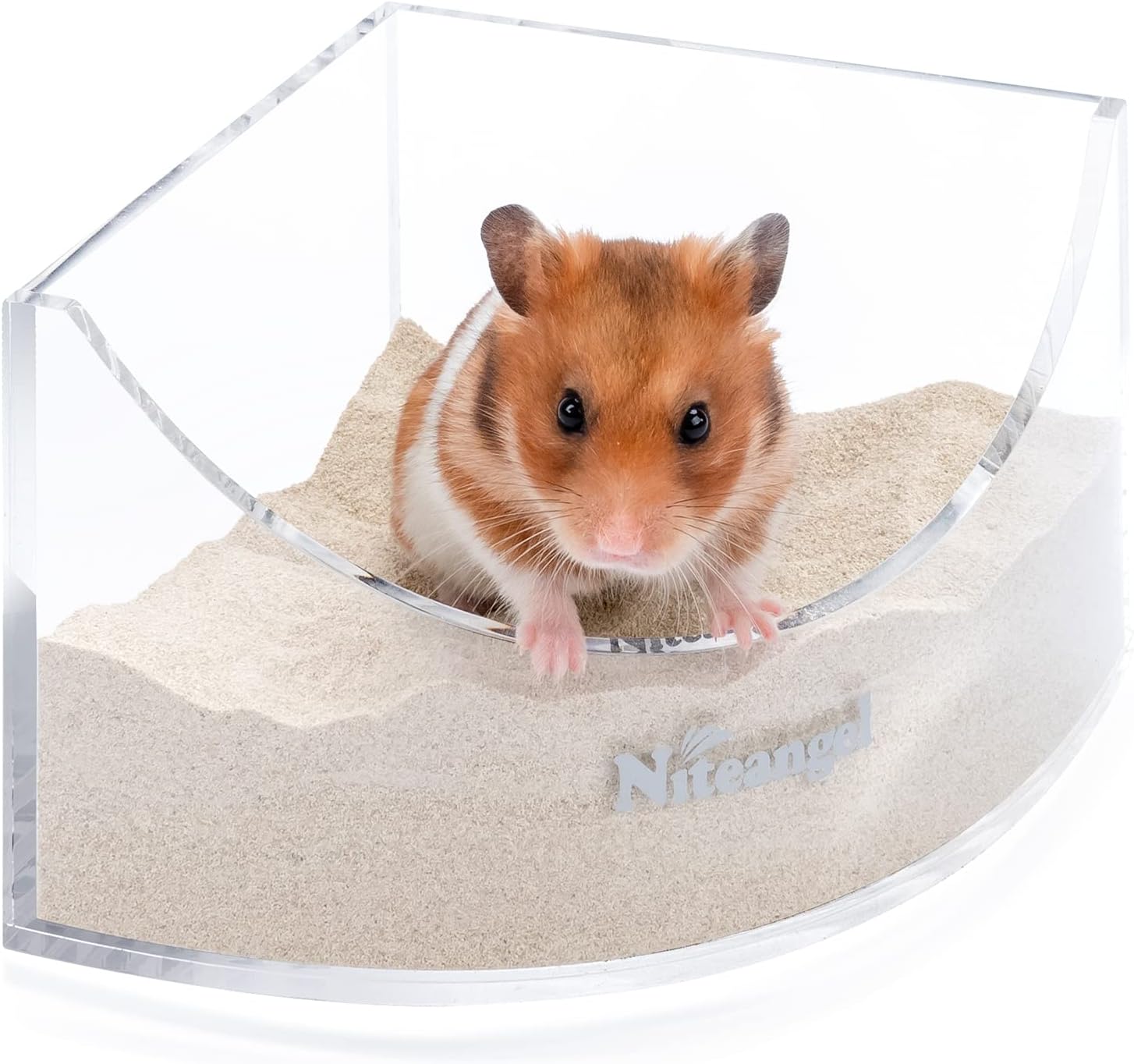 Hamster in a clear sand-bath container