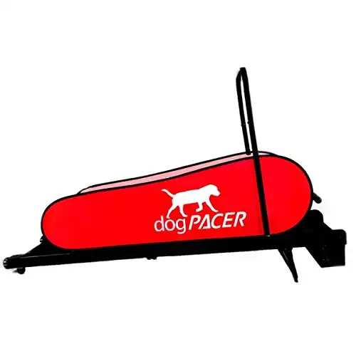 dogPACER LF 3.1 Full Size Dog Pacer Treadmill